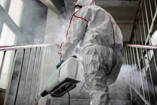 Best Commercial Mold Inspection  in Harvey, MI